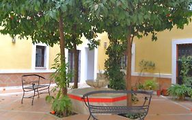 Sunshine Patio Del Consistorio